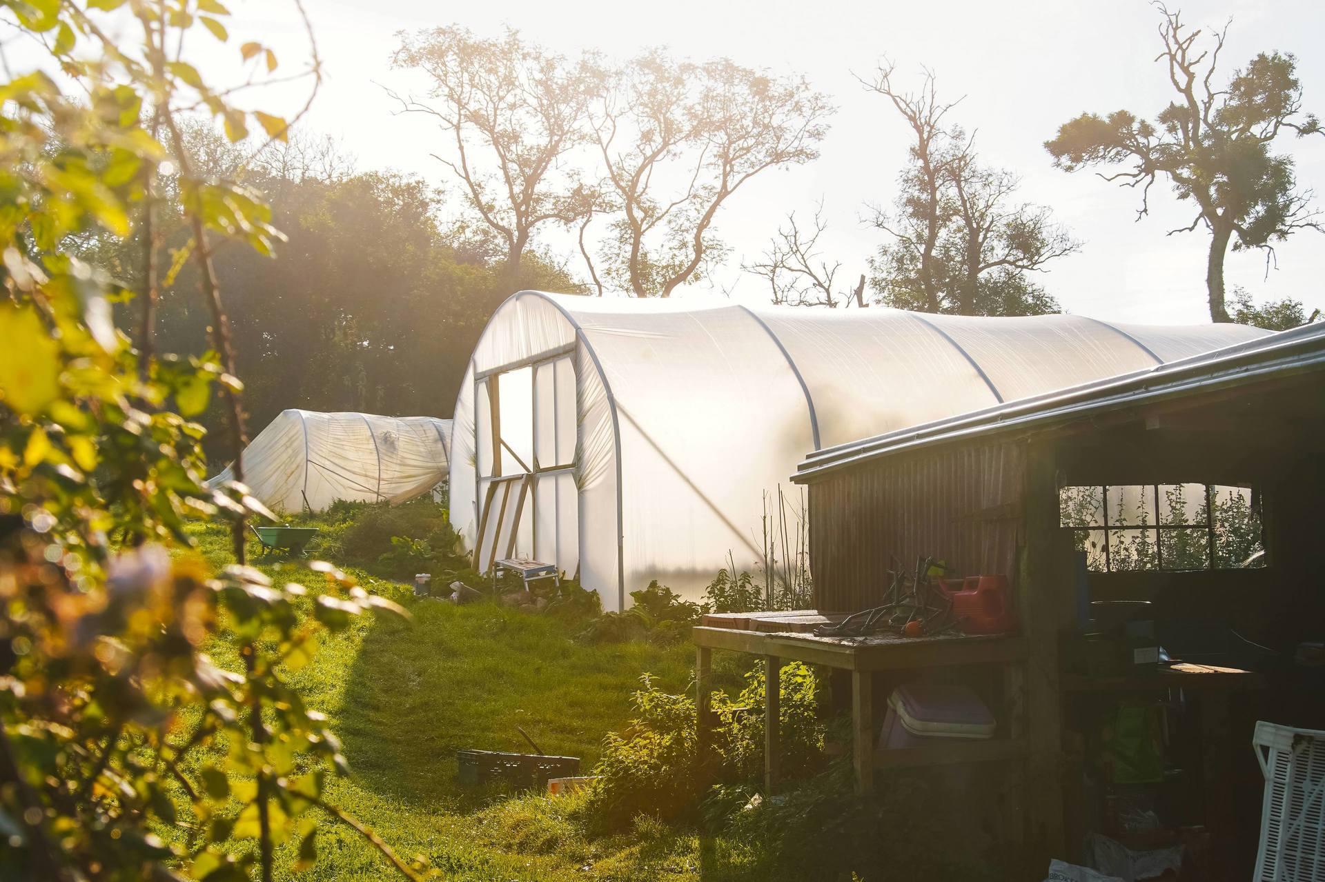 Underwood Farm