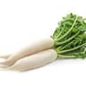 Radish: Daikon