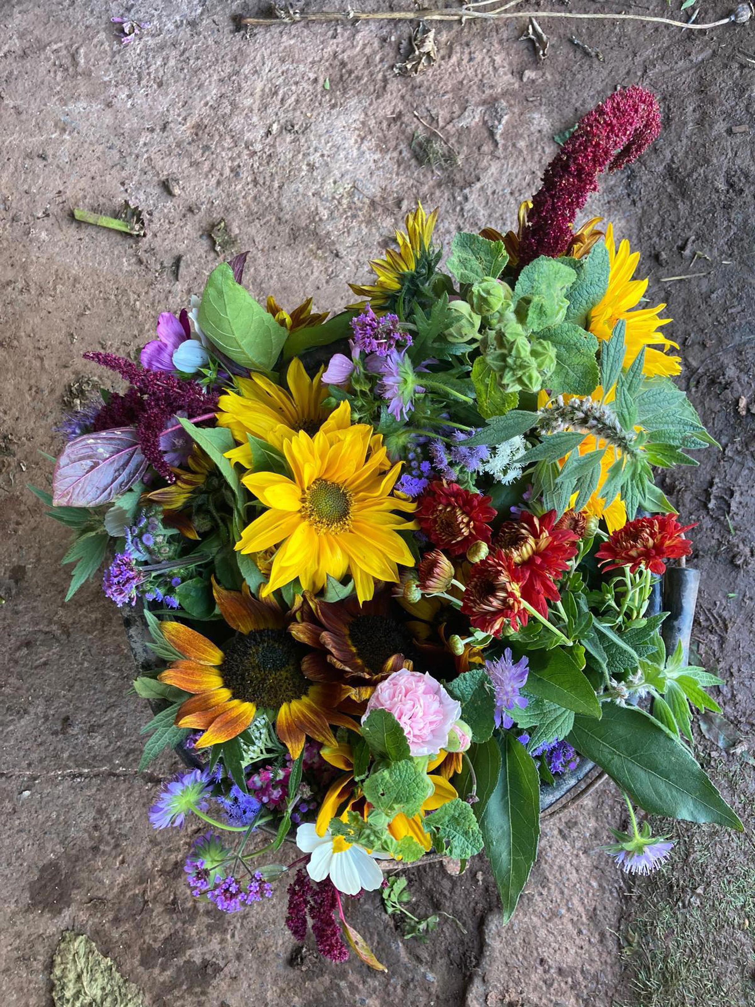 Seasonal cut flowers