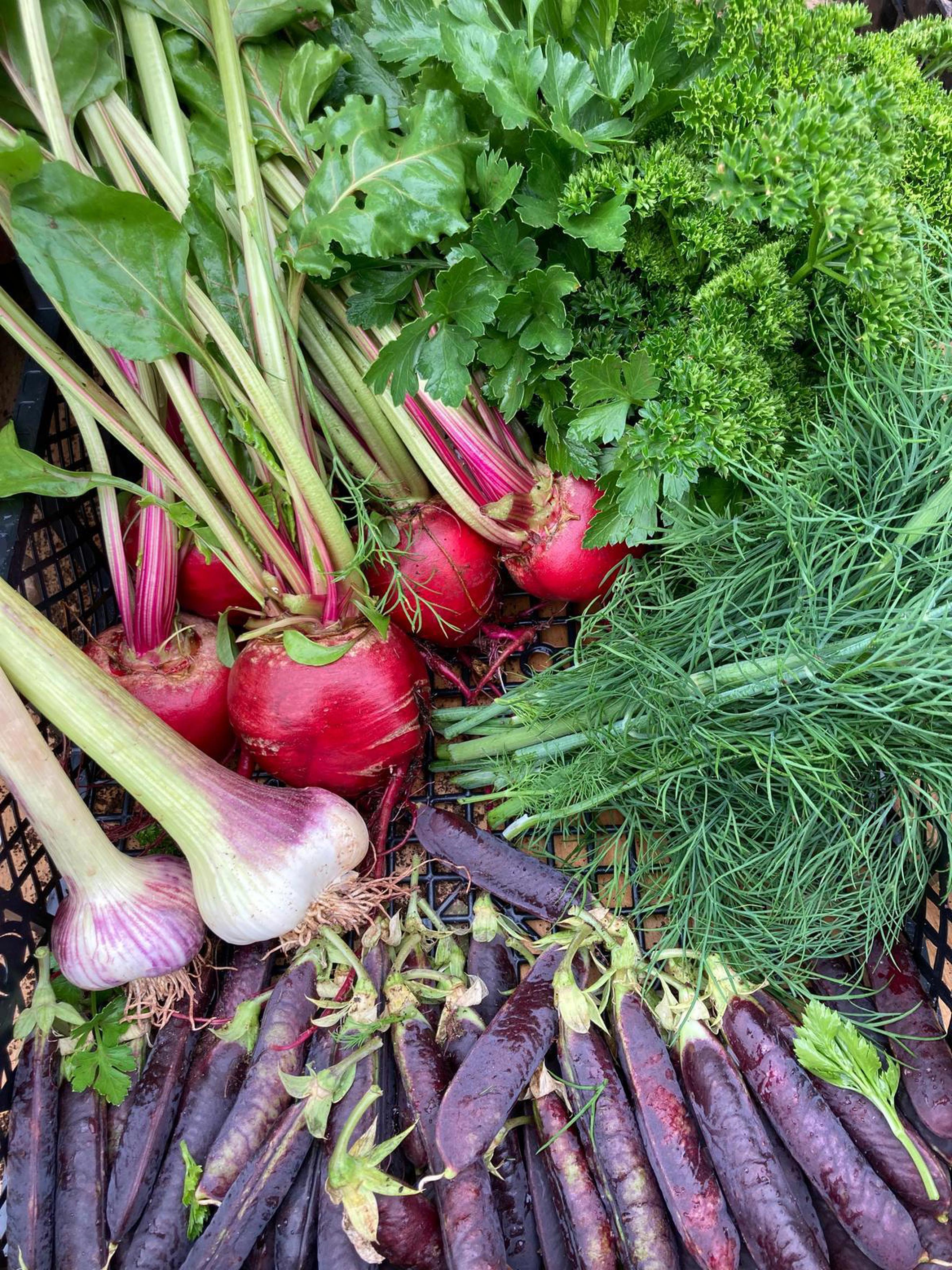 Large veg box