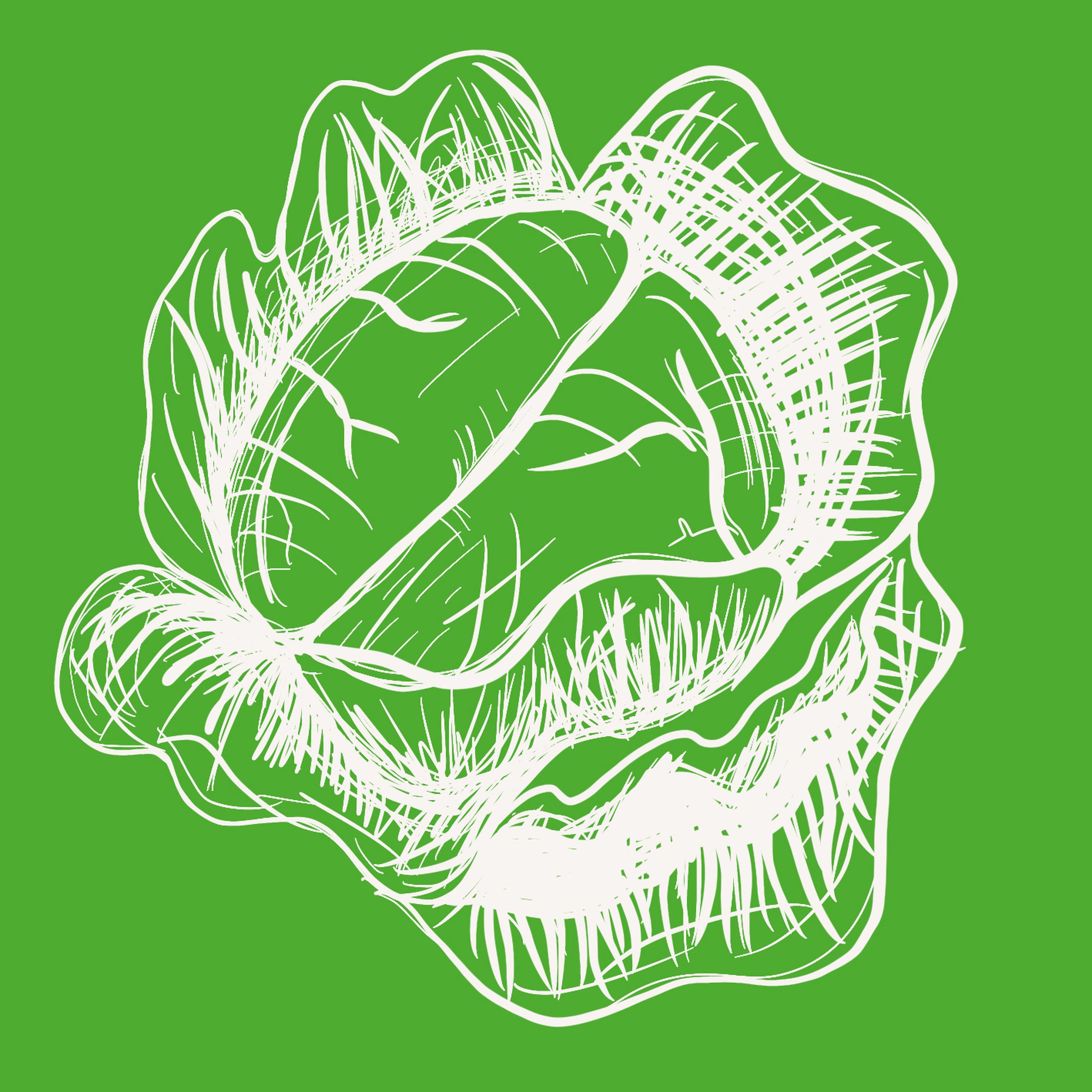 Donate a Veg box